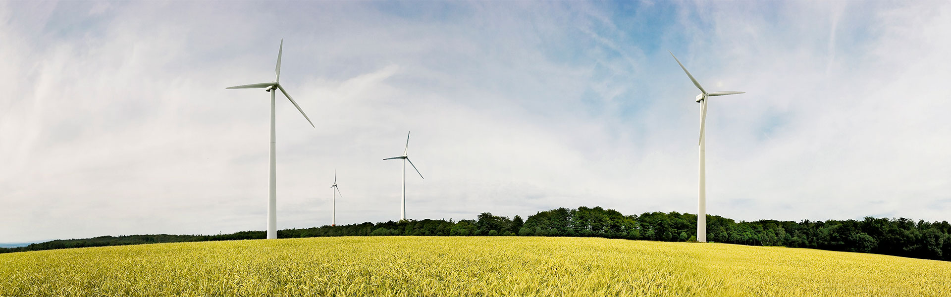 Header Bild ENTEGA zweitgrößter Ökostromanbieter Deutschlands