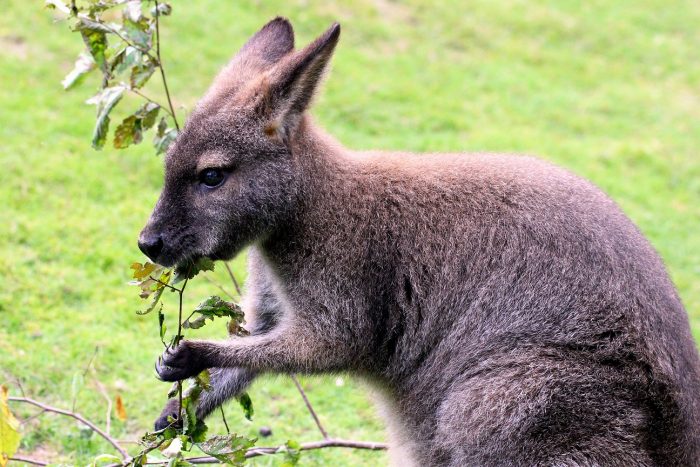 Zoo Vivarium: Naturstein-Waschbecken mit Unterstützung der bauverein AG errichtet