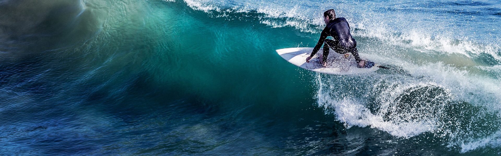 Header Bild Sicher surfen ist keine Wissenschaft