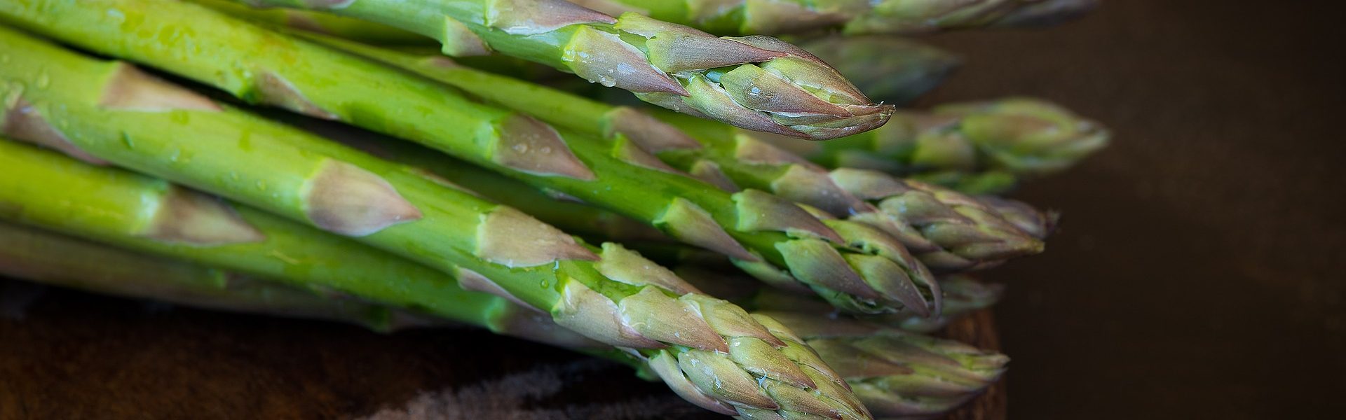 Header Bild Es ist Frühling, die Sonne scheint – und wer hat Saison? Der Spargel