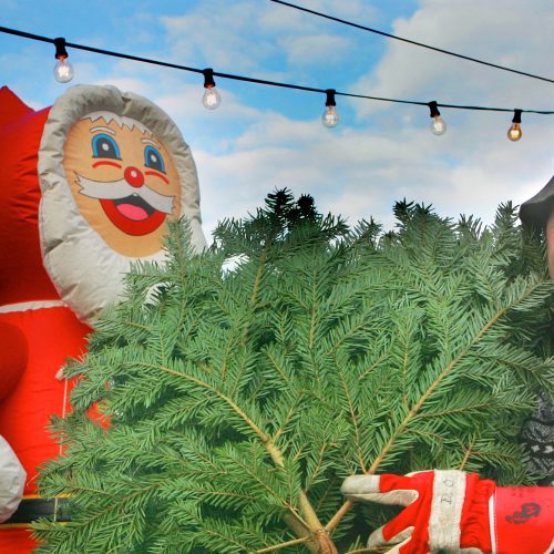 WEIHNACHTSBAUM MARIENPLATZ,DIETER OLD Darmstadt