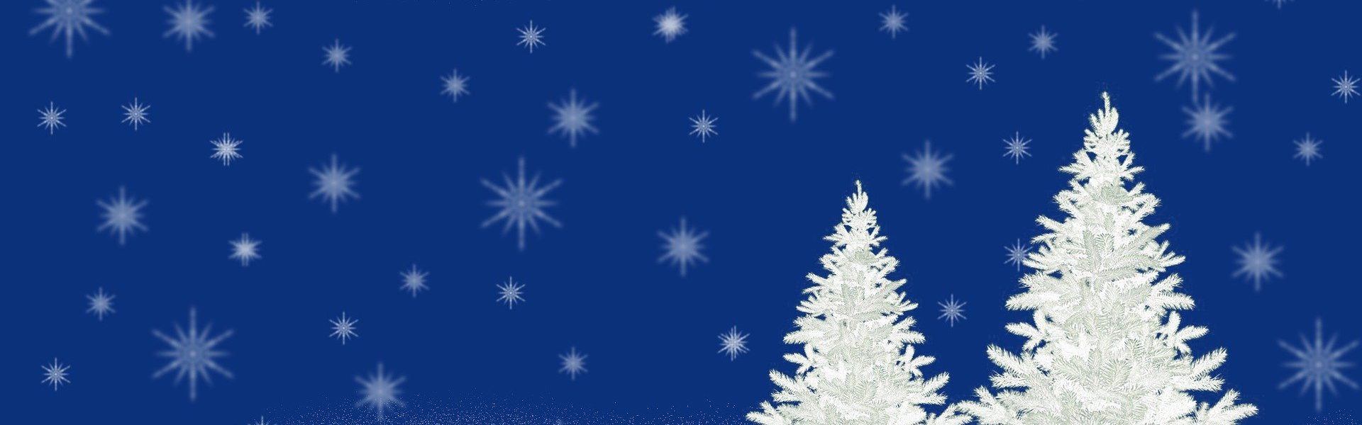 Header Bild 15 Weihnachtsbäume zu gewinnen!