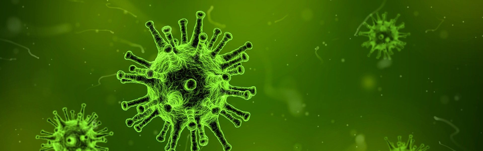 Header Bild Informationen zum Coronavirus SARS-CoV-2