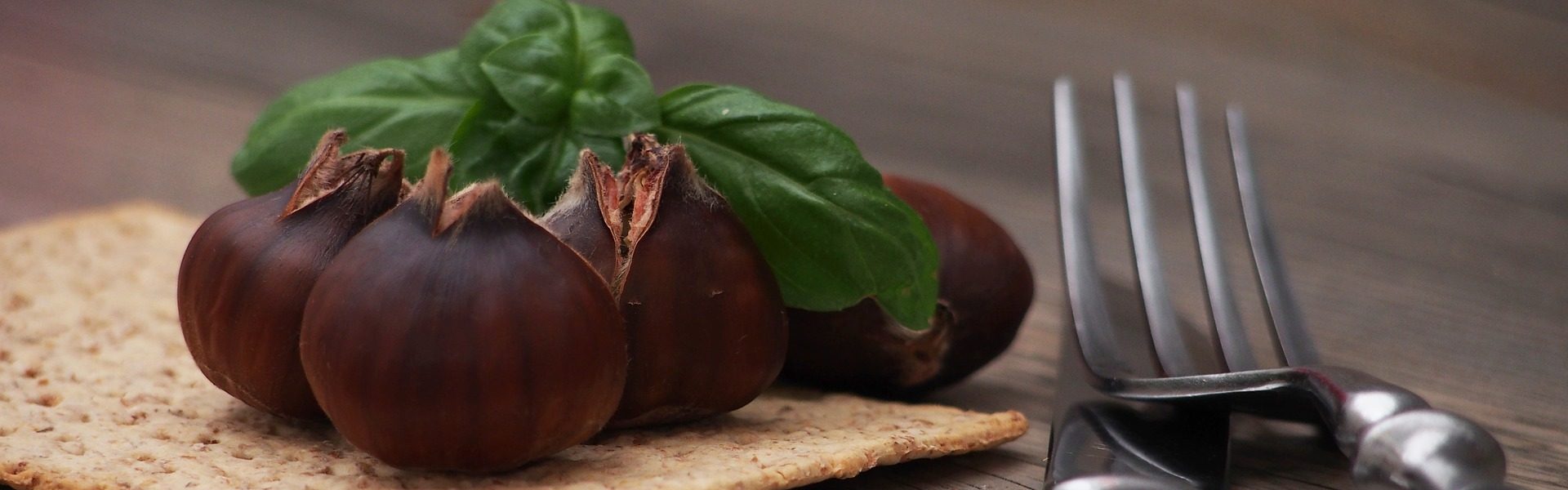 Header Bild Rezepttipp von der Gemüsekiste: Rotkohl mit Kastanien