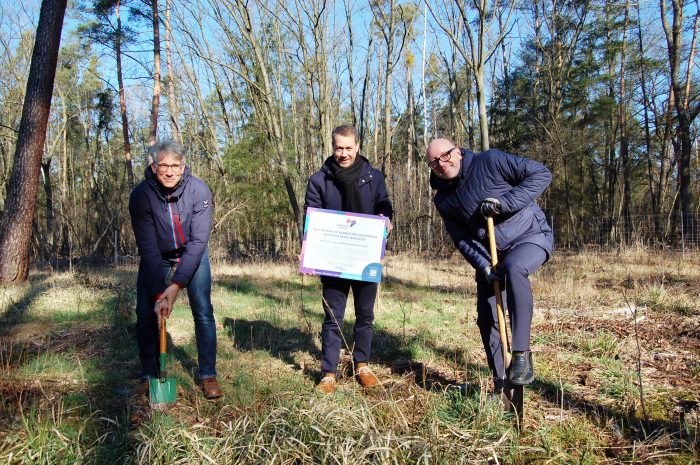 Darmstädter „Klimaherzen“ kommen gut an – 1.000 Bäume im Darmstädter Wald gepflanzt