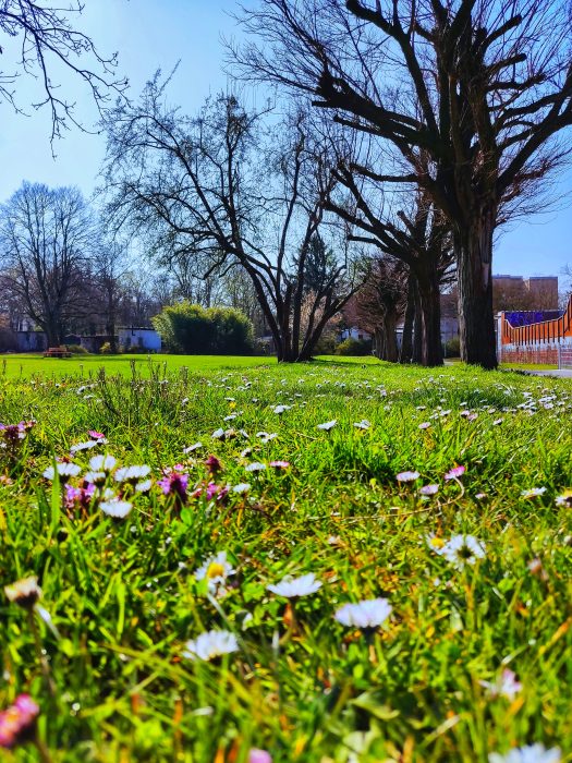 Prinz Emil Garten Schlösschen Darmstadt im Herzen Nachhaltigkeit Park Orangerie Herrngarten Rosenhöhe