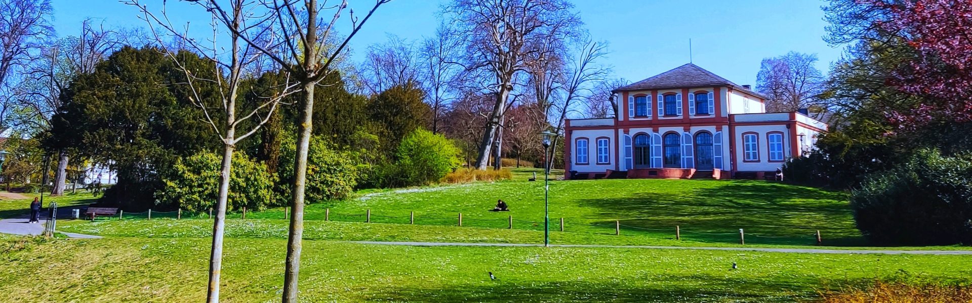 Header Bild DarmStadtrundgang: Mache-einen-Spaziergang-im-Park-Tag 