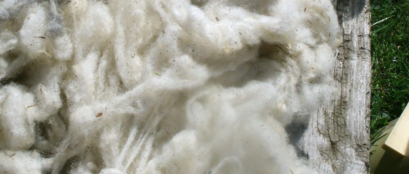 Header Bild Naturdünger aus Schafwolle