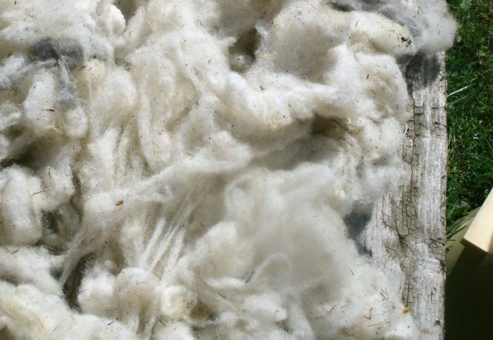 Naturdünger aus Schafwolle