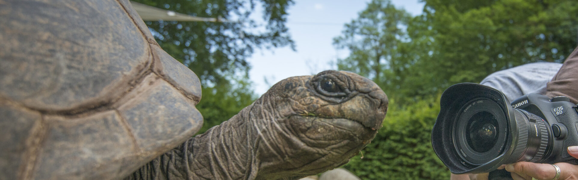 Header Bild Zoo Vivarium bietet Fotoworkshops für Kinder und Jugendliche in den Sommerferien an