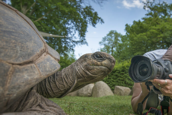 Zoo Vivarium bietet Fotoworkshops für Kinder und Jugendliche in den Sommerferien an