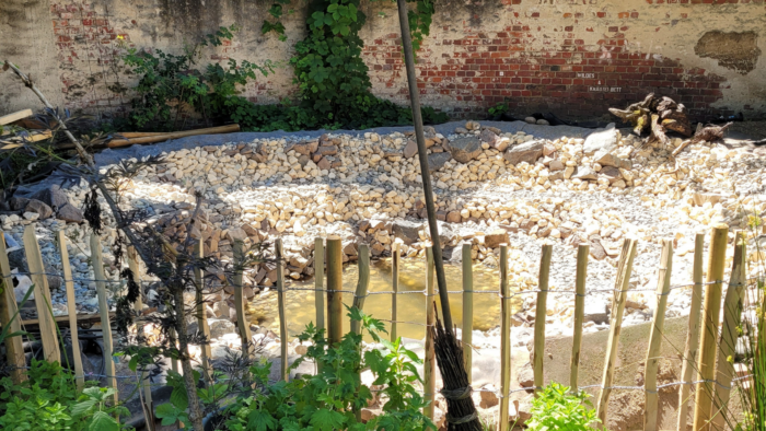 Schlaues Wasser: HEAG nimmt mit „Smarte Urban Gardening Lösungen“ intelligente Bewässerungskonzepte in den Blick