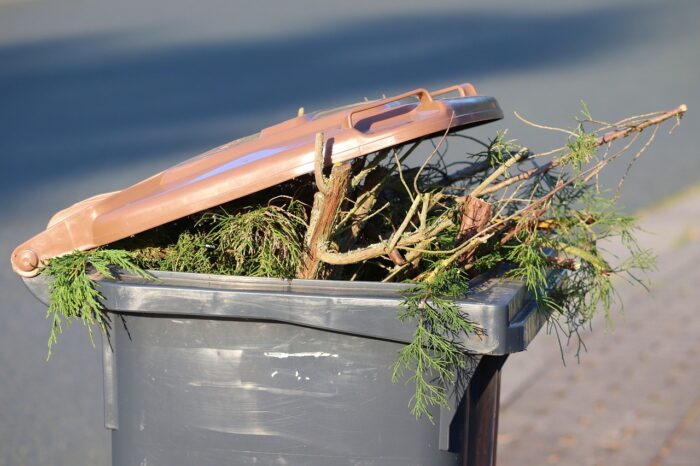 EAD bietet Termine zur Abholung von Gartenabfällen an