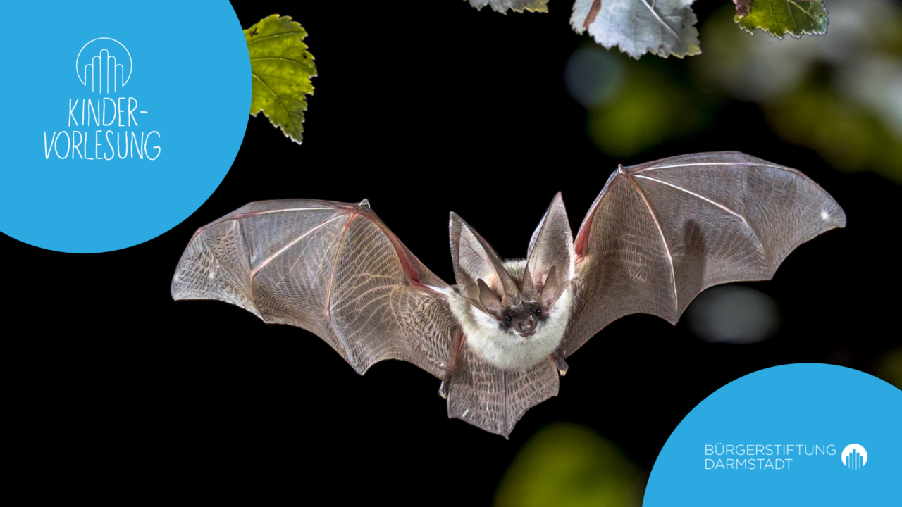 Kindervorlesung: Fledermäuse – spannend und geheimnisvoll