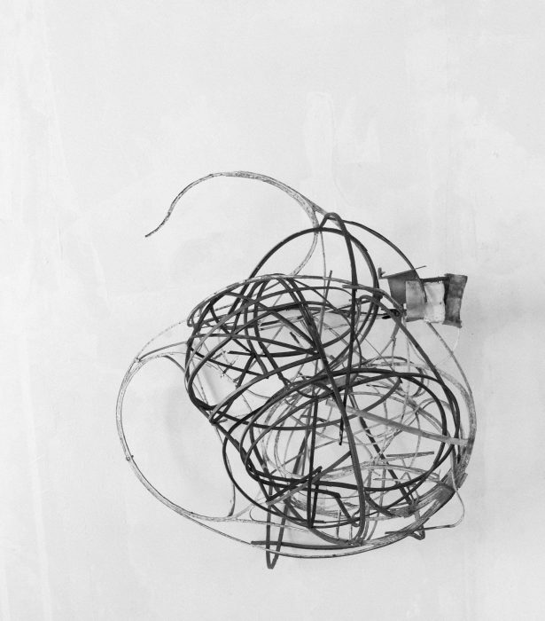 Ausstellung „Vogelflüge“ von Jörg Bussmann im Raum für Kunst Darmstadt