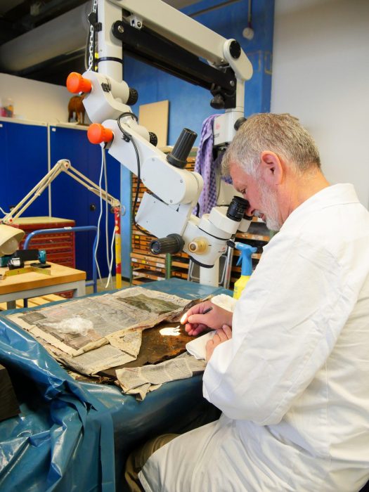 Führung hinter den Kulissen: Einblicke in die Werkstätten der Präparation
