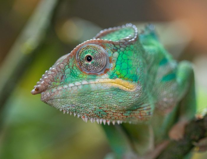 Osterferienprogramm im Zoo Vivarium Darmstadt