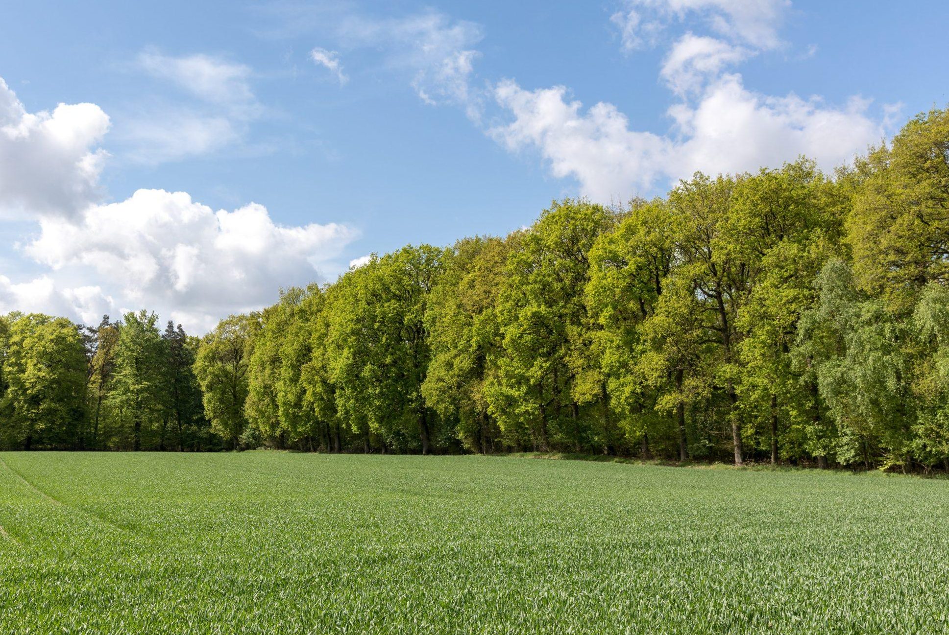 Header BildDarmstadt im Herzen – Das Stadtwirtschaftsportal
