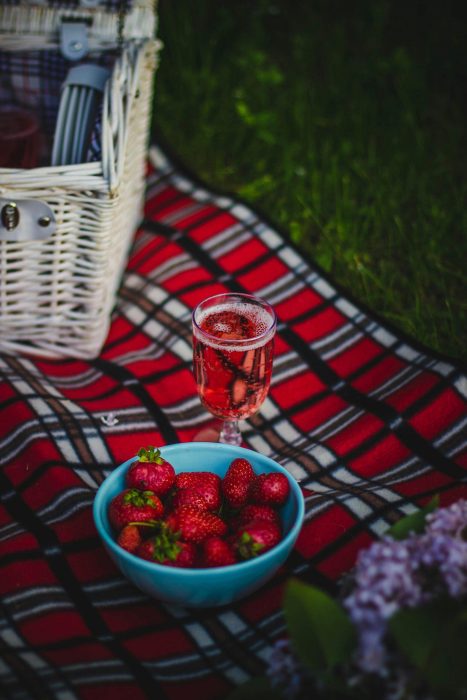Picknick zur Kindertagespflege im Herrngarten