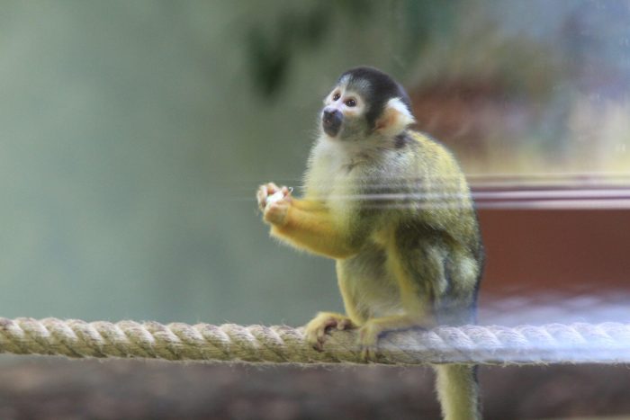 Abendführung im Zoo Vivarium über das Liebesleben der Tiere