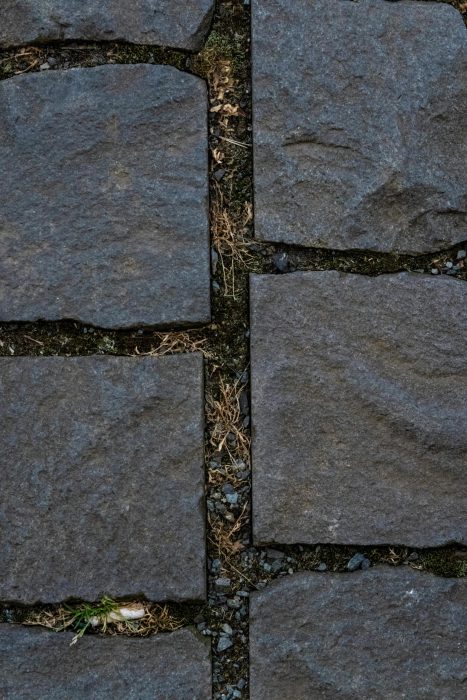 Darmstadt auf Platz zwei beim Entsiegelungswettbewerb