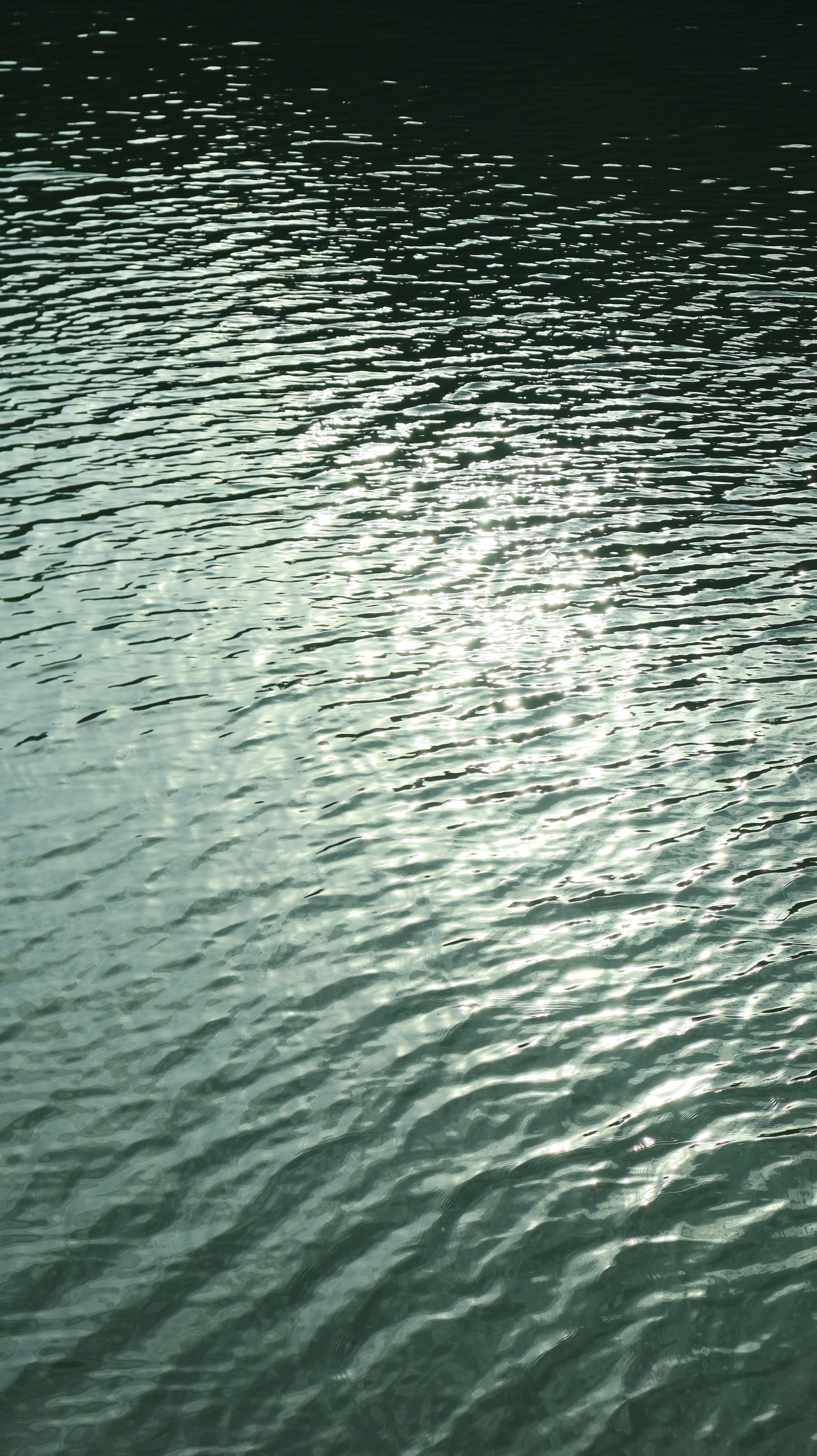 Header Bild Moorteich im Bürgerpark wird ab Oktober saniert