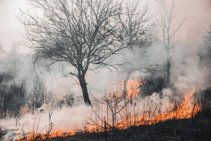 Sehr hohe Waldbrandgefahr: Darmstadt verhängt Grillverbot