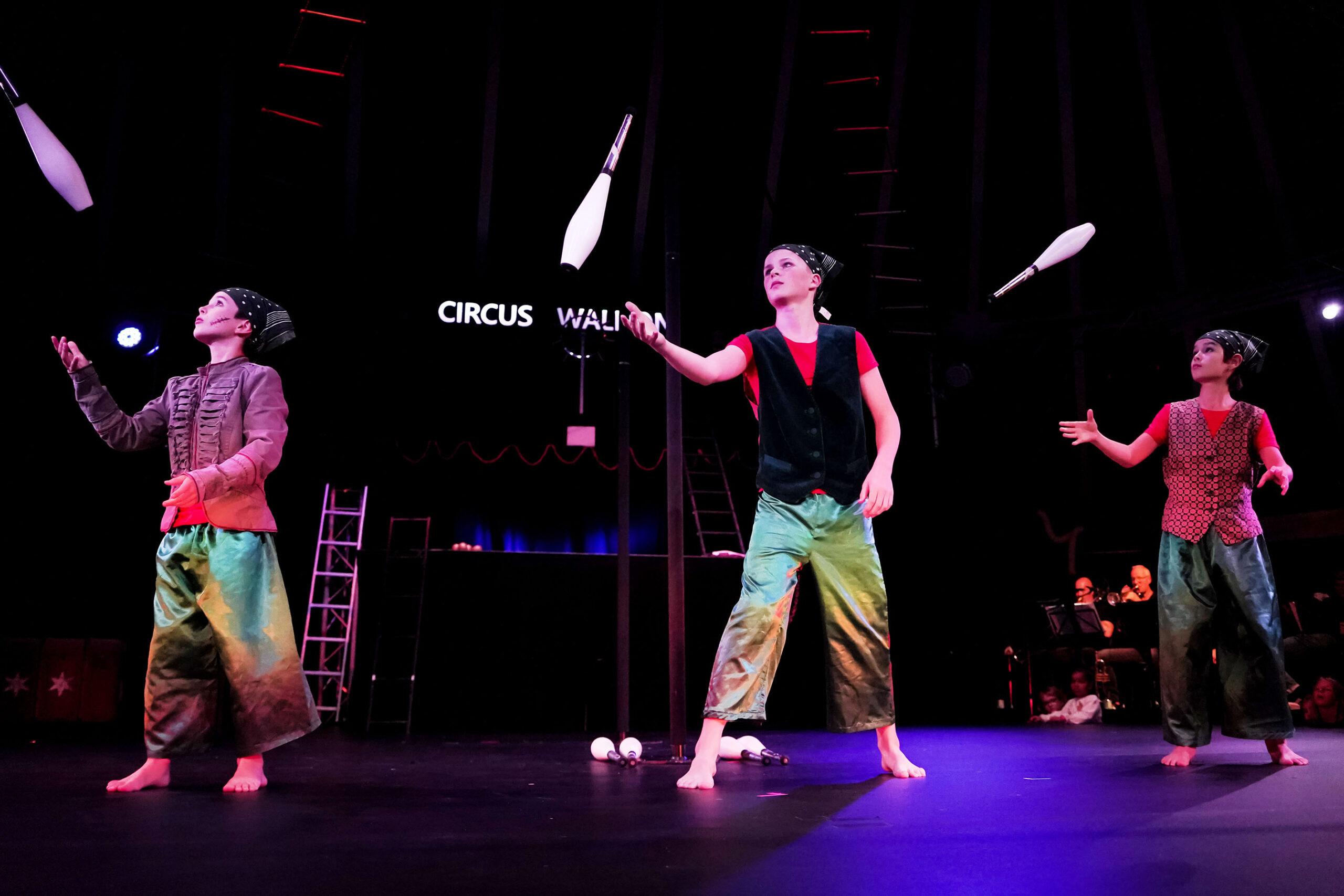 Header Bild „Hammer-Geschichten“ im Circus Waldoni